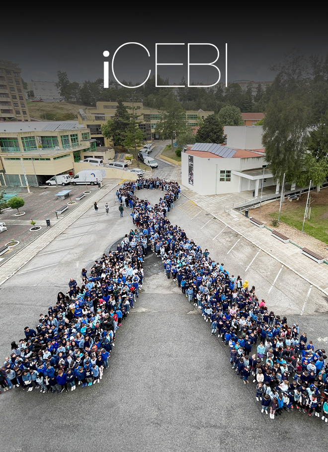 iCEBI133